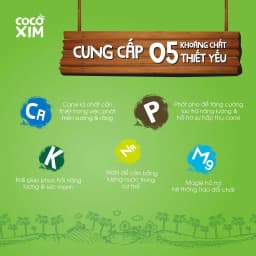 Thumbnail _Nước dừa đóng hộp Cocoxim Xanh dung tích 1000ml/Hộp 3