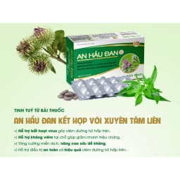 Thumbnail AHĐ-Viên Ngậm Ho Thảo Dược An Hầu Đan Zlove Giảm viêm họng hạt, viêm amidan, khàn tiếng, ho có đờm (Hộp 20 viên) 2