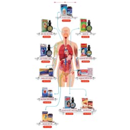 Thumbnail Đại Tràng VĨNH QUANG Hỗ trợ làm mạnh đường ruột, giảm tình trạng rối loạn tiêu hóa - Hộp 60 viên 4