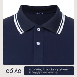 Thumbnail Áo polo nam JBAGY phối cổ sọc nam chất liệu Cá sấu Cotton Cao Cấp - JP0101V 2
