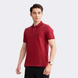Thumbnail Áo Polo Nam Ngắn Tay Co Dãn Thoáng Mát Aristino Cotton Organic APSR09 1