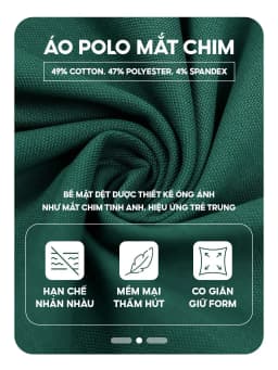Thumbnail Áo polo nữ YODY vải cotton mắt chim gia đình mềm mại chống nhăn nhàu bai gião APN7280 2
