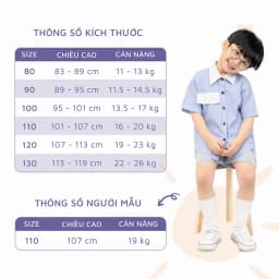 Thumbnail Áo sơ mi cộc bé trai kẻ phối cổ trắng Fbaby FB009 4