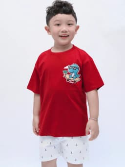 Thumbnail Áo thun đi học bé trai, áo thun ngắn tay, áo phông cộc tay cotton từ 1-10 tuổi Baa Baby - B-BC-AT30N 1
