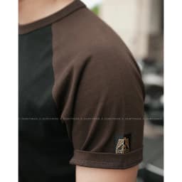 Thumbnail Áo Thun Nam Raglan Phối Màu Cổ Điển DUSTYMAN - Vải 100% Cotton - Form Regular Fit 4