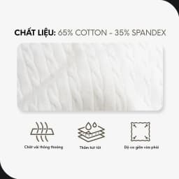 Thumbnail Áo Thun Polo Nam By Cotton Cao Cấp Dệt Kim Twist - Trắng Phối Bo Đen 2