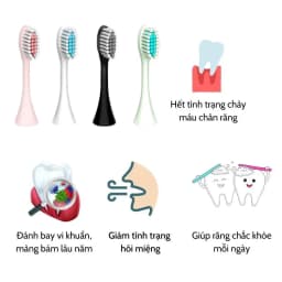 Thumbnail Đầu bàn chải điện đánh răng HOKU SONIC X-5 đầu tròn chống thấm lông lụa Dupont mềm mại DBC08 1