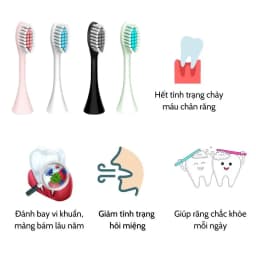 Thumbnail Đầu bàn chải điện đánh răng HOKU SONIC X-5 đầu tròn chống thấm lông lụa Dupont mềm mại DBC08 4