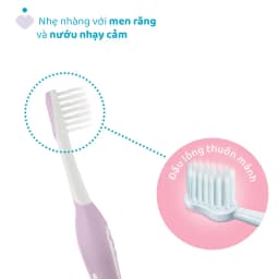 Thumbnail Bàn chải đánh răng Tím hồng/Xanh biển Chicco 6-36M 4