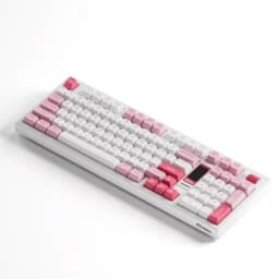 Thumbnail Bàn phím AKKO 5098B Prunus Lannesiana (RGB / Hotswap / Akko V3 Piano Pro) 3