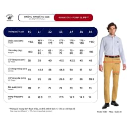 Thumbnail Beverly Hills Polo Club - Quần dài Nam Regular Fit Xám ghi Trơn Cotton - BHPC- QKLRS24V016 3