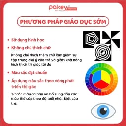 Thumbnail Bộ 20 Thẻ Kích Thích Thị Giác Pakey Cao Cấp Giúp Phát Triển Khả Năng Quan Sát Trực Quan Cho Bé 3