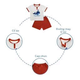 Thumbnail Bộ cộc tay cổ trụ BENTY in hình cá voi  BT041 cotton mềm mịn mát, đồ bộ cho bé trai, bé gái 3