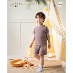 Thumbnail Bộ Cộc Tay COOKIE Raglan Phối Tay Cho Bé Từ 6 Đến 5 Tuổi 2025 1
