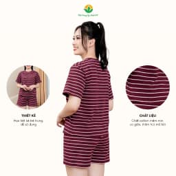 Thumbnail Bộ đùi nữ chất cotton thời trang Việt Thắng áo cộc tay quần đùi kẻ sọc - B43.2407 3
