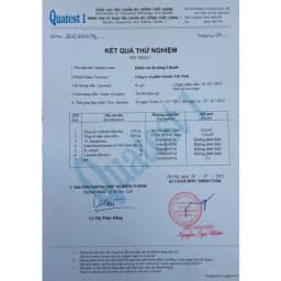 Thumbnail Bông tẩy trang Likado hộp 400/600 miếng kích thước (6cmx5cm) 3