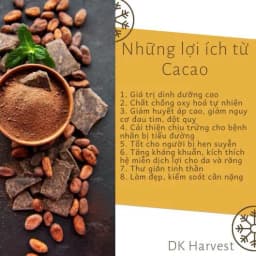 Thumbnail Bột Cacao Nguyên Chất DK Harvest - Chuẩn UTZ, 11-13% Bơ Cacao | Đậm Vị, Giàu Chất Chống Oxy Hóa, Cải Thiện Tâm Trạng 4