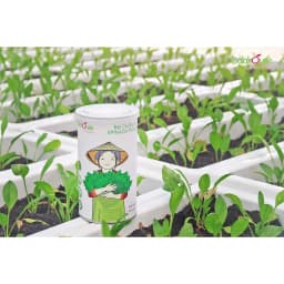 Thumbnail Bột cải bó xôi nguyên chất Dalahouse công nghệ sấy lạnh tiêu chuẩn Châu Âu hộp 60 gr 1