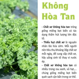 Thumbnail Bột cải xoăn kale sấy lạnh nguyên chất Dalahouse 60gr đạt tiêu chuẩn Châu Âu 1