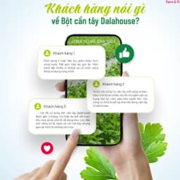 Thumbnail Bột cần tây detox nguyên chất sấy lạnh Dalahouse bột rau củ hữu cơ đạt chuẩn Châu Âu 2