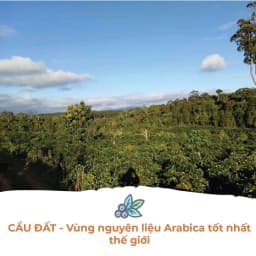 Thumbnail Cà Phê Arabica Cầu Đất Dalat Farm - Túi 250Gr (Dạng hạt) 1