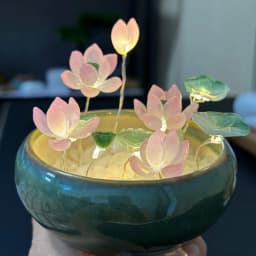 Thumbnail Chậu Hoa Sen Đá Mini Tự Làm, Trang Trí Đèn Ngủ, Bàn Học, Góc Tu Tập - Tuệ Nga 4