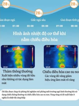 Thumbnail Chiếu Điều Hòa Cao Su Non IQKAO Cho Bé Kèm Gối Mát Lưng, Thoáng Khí, Không Cần Bật Điều Hòa – Size 60x120cm 1