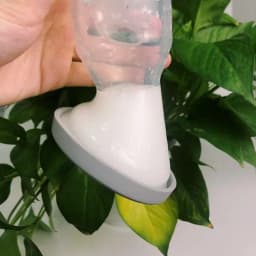 Thumbnail Cốc Hứng Sữa Cao Cấp Gen.2 100/150ml Và Nắp Đậy Haakaa, New Zealand 4