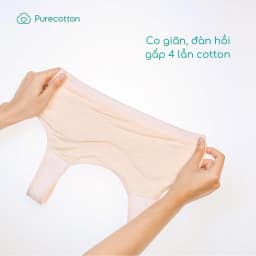 Thumbnail Combo 2 áo lót sợi sồi cao cấp mềm mịn kiểu dáng chui đầu không đệm Cool Bear PC108 1
