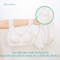 Thumbnail Combo 2 áo lót sợi sồi cao cấp mềm mịn kiểu dáng chui đầu có đệm Puppy Bra PC107 4