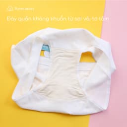 Thumbnail Combo 2 quần lót sợi sồi cao cấp mềm mịn Cool Bear PC109 3