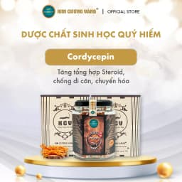 Thumbnail Combo 3 Tặng 1 Đông Trùng Hạ Thảo Khô Kim Cương Vàng Tăng Cường Đề Kháng (10Gr/Hộp Gỗ) 4