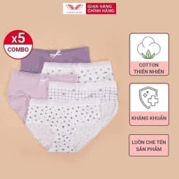 Thumbnail Combo 5 Quần Lót Cotton Nữ Cạp Cao VINGO Thấm Hút Kháng Khuẩn Phối Viền Ren Lưới Mềm CB20 VNGO 2
