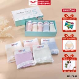 Thumbnail Combo 5 quần lót cotton trơn kháng khuẩn VINGO CB88 VNGO 1