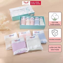 Thumbnail Combo 5 quần lót cotton trơn kháng khuẩn VINGO CB88 VNGO 2