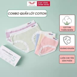 Thumbnail Combo 5 quần lót cotton trơn kháng khuẩn VINGO CB88 VNGO 3