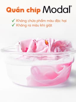 Thumbnail Combo 6 quần lót Rabity kháng khuẩn, an toàn 5049.01 1