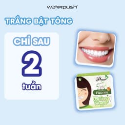 Thumbnail Combo sản phẩm chăm sóc răng miệng toàn diện WaterPush - Nước súc miệng + Xịt Miệng + Bàn Chải + Kem Đánh Răng Phoca 2