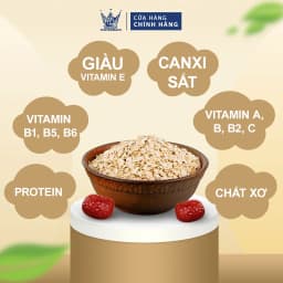 Thumbnail [Combo Tiết Kiệm] Yến Mạch Ăn Kiêng 500gr Nhập Khẩu Úc + Táo Đỏ Thượng Hạng 350gr Vua Yến Mạch 4