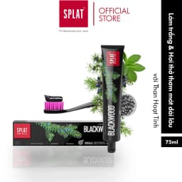 Thumbnail Combo Trắng Răng Êm Ái Cho Răng Nhạy Cảm-1 kem đánh răng than hoạt tính Blackwood & 1 bàn chải đánh răng Sensitive Xanh 1
