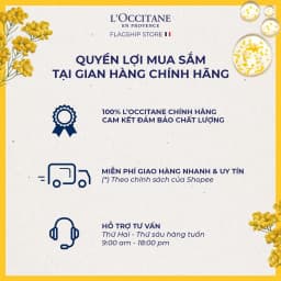 Thumbnail Dầu Gội - Dầu Xả Purifying Dành Cho Tóc Dầu L'Occitane Aromachologie Purifying Shampoo 300ml & Conditioner 250ml 2