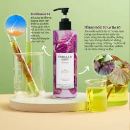 Thumbnail Dầu Gội SHSO Beauty Phyto Biotic Tía Tô & Bạc Hà Chăm Sóc Tóc Bồng Bềnh, Chắc Khỏe, Kích Thích Mọc Tóc - NPC PHAR 1