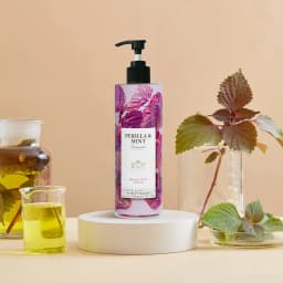 Thumbnail Dầu Gội SHSO Beauty Phyto Biotic Tía Tô & Bạc Hà Chăm Sóc Tóc Bồng Bềnh, Chắc Khỏe, Kích Thích Mọc Tóc - NPC PHAR 3