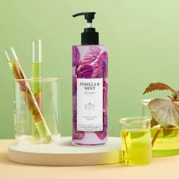 Thumbnail Dầu Gội SHSO Beauty Phyto Biotic Tía Tô & Bạc Hà Chăm Sóc Tóc Bồng Bềnh, Chắc Khỏe, Kích Thích Mọc Tóc - NPC PHAR 4