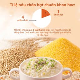 Thumbnail Đậu hạt hữu cơ cho bé ăn dặm Mămmy: Đậu lăng đỏ, đậu gà, kiều mạch, diêm mạch, hạt chia, kê nếp cho bé từ 6 tháng tuổi 4