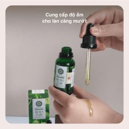 Thumbnail Dầu mù u ép lạnh nguyên chất Tinh dầu Đất Việt dung tích 10ml và 30ml 3