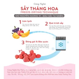 Thumbnail Dâu Tây Sấy Giòn - Hộp 100g 3