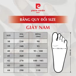 Thumbnail Dép nam Pierre Cardin chính hãng, đế cao su chống trượt, nhiều màu đa dạng lựa chọn - 151 4