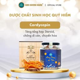 Thumbnail Đông Trùng Hạ Thảo Khô Thượng Phẩm Kim Cương Vàng - Hỗ Trợ Giải Độc Gan, Tăng Cường Đề Kháng, Giảm Mệt Mỏi (15Gr/Hộp) 3