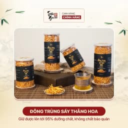 Thumbnail Đông trùng hạ thảo tự nhiên sấy thăng hoa Triệu Gia tăng cường sức khỏe cải thiện lão hóa sợi gãy - Lọ 35gr, 50gr. 1